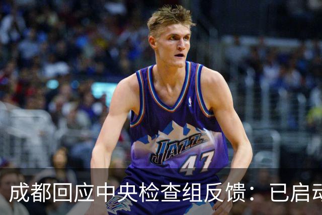 成都回应中央检查组反馈：已启动调查并计划严厉处罚